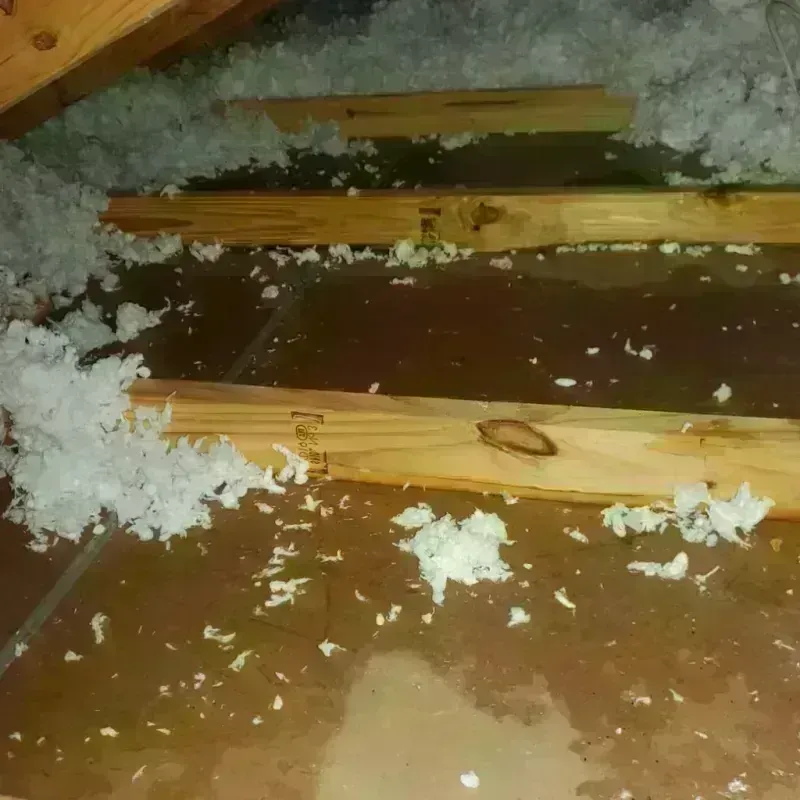 Attic Water Damage in Lewis County, MO