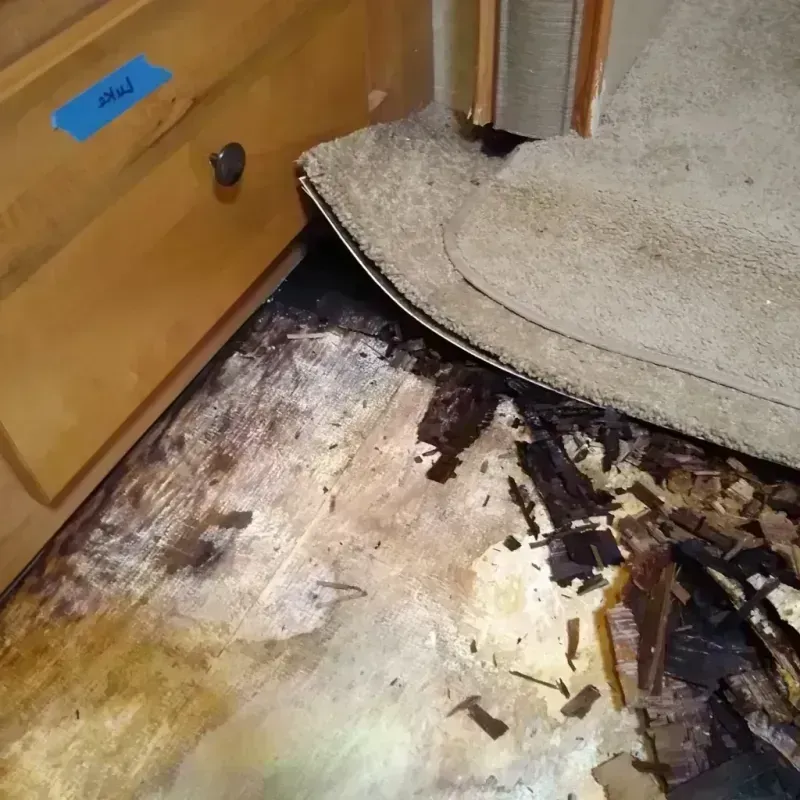 Wood Floor Water Damage in Lewis County, MO